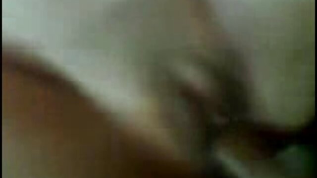 کیفیت بالا :  